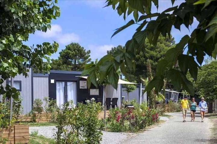 Gîte pour 6 personnes, avec terrasse et piscine dans Plages des Cabanes de Fleury - 4