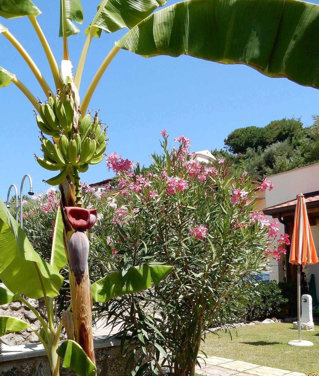 Komfort Apartments mit Garten in Santa Maria (Vibo Valentia), Tyrrhenische Küste Kalabrien