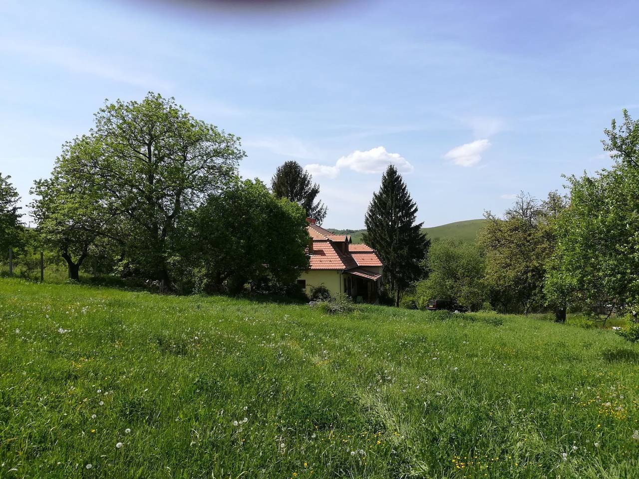 Mit biologischem Schwimmteich in Csernely, Borsod-Abaúj-Zemplén megye