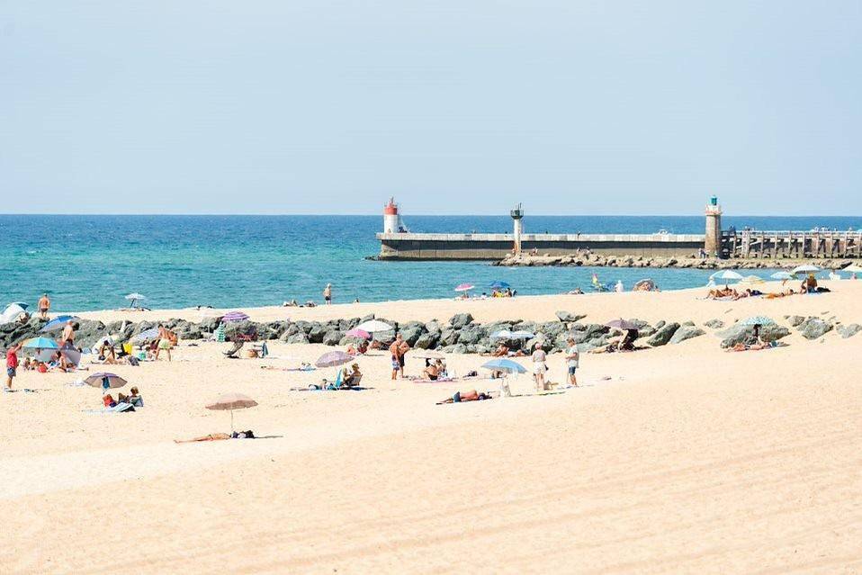Gite 11825 in Capbreton, Côte d’Argent