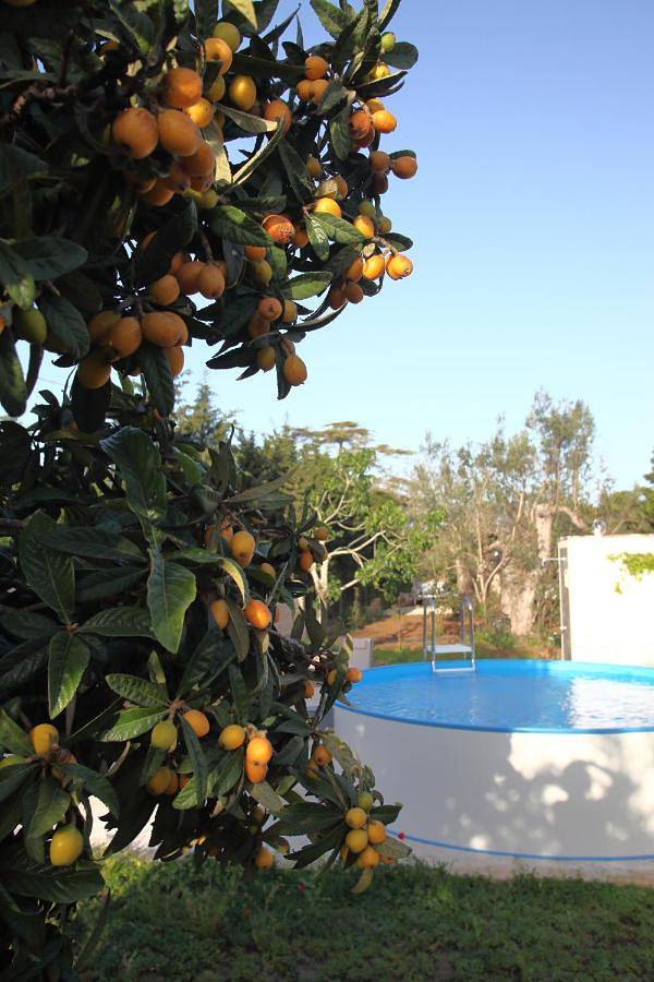 Villa per 9 persone, con panorama e giardino nonché piscina, adatto a famiglie con bambini a Parabita