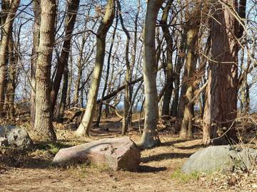 Ferieudlejning til 6 Personer i Asnæs, Odsherred, Billede 4
