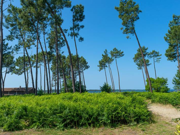 Appartement entier, Les Cottages du Lac T4 Privilège in Parentis-en-Born, Côte d’Argent