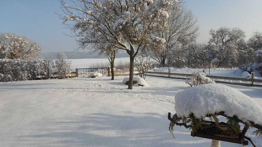 Ferienhaus für 2 Personen, mit Garten in der Feldberger Seenlandschaft