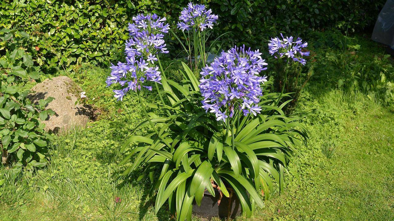 Ganze Ferienwohnung, Ferienwohnung für 2 Personen (45 m²) in Ratzeburg in Ratzeburg, Ratzeburger See