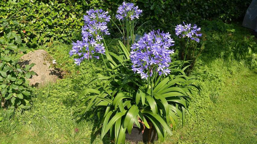 Ferienwohnung für 2 Personen, mit Terrasse in Ratzeburg - 3