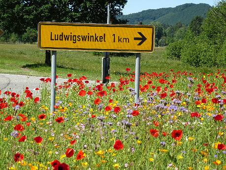 Ferienwohnung für 4 Personen, mit Balkon im Dahner Felsenland - 2