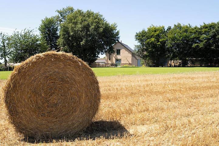 Location de vacances pour 8 personnes, avec Terrasse et Jardin à Gévezé