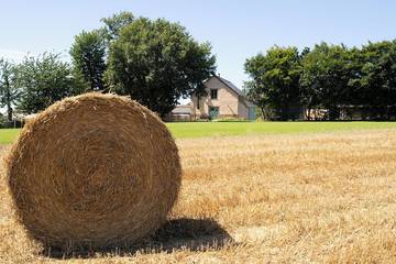 Gîte pour 8 personnes, avec jardin et terrasse à Gévezé