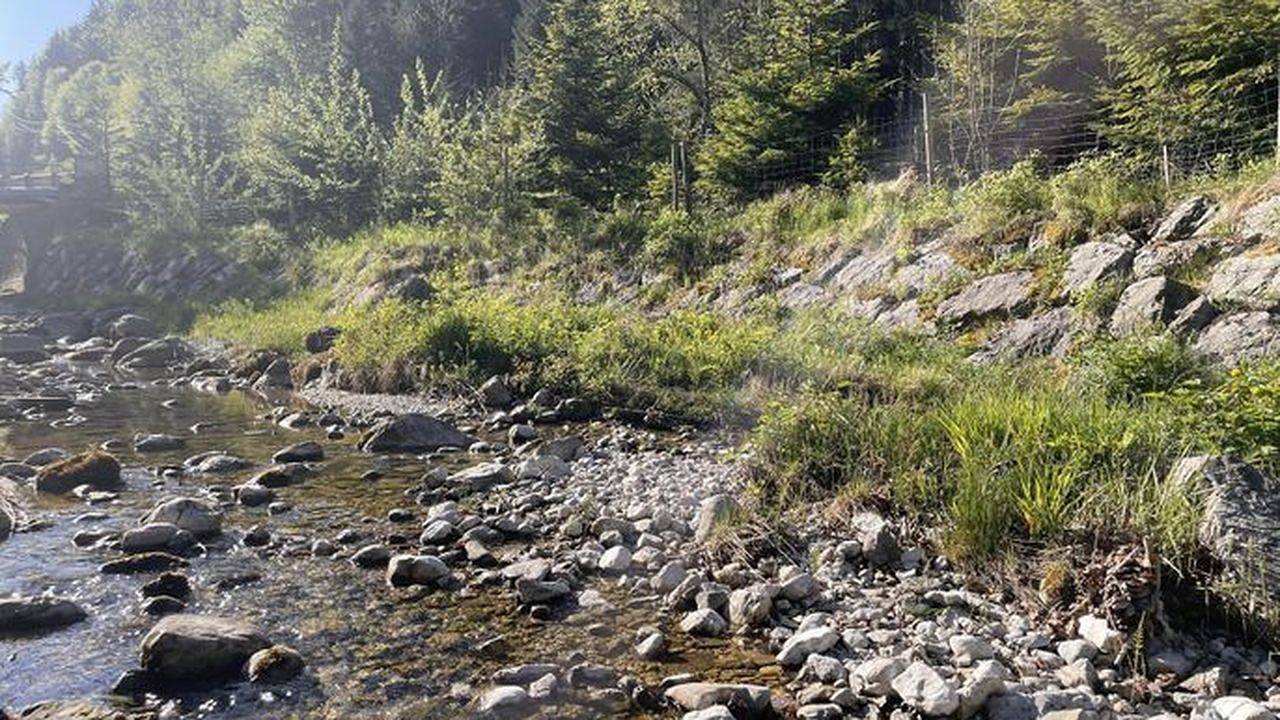 Geheel vakantieappartement, Vakantieappartement voor 4 personen met tuin in Fuschl am See, Salzkammergut mountains