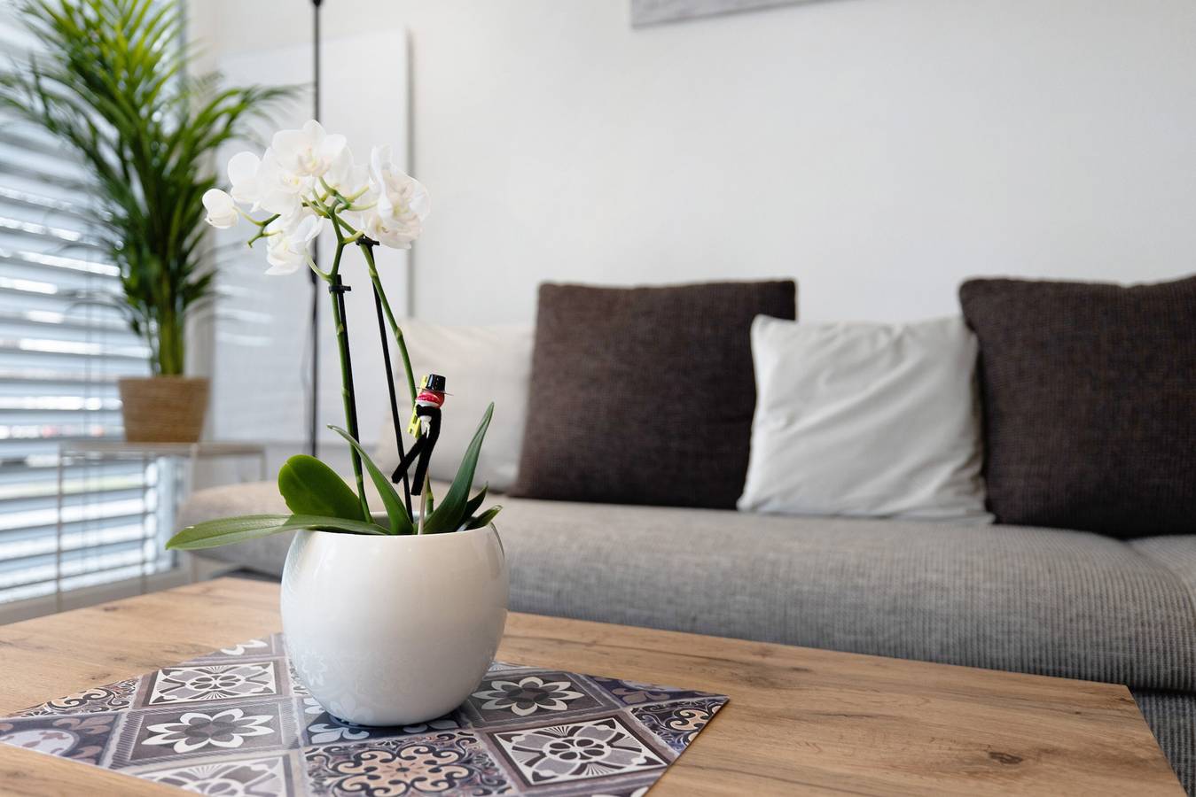 Apartamento entero, Apartamento 'König' con vistas a la montaña, terraza compartida y Wi-Fi in Lustenau, Bodensee-Vorarlberg
