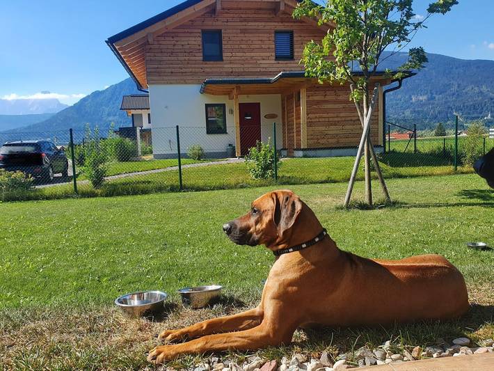 Ferienhaus für 6 Personen, mit Balkon und Terrasse sowie Garten in Naturarena Kärnten - 3