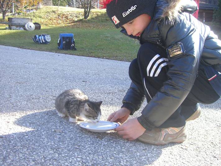 Bauernhof für 4 Personen, mit Garten in Kastelruth - 2