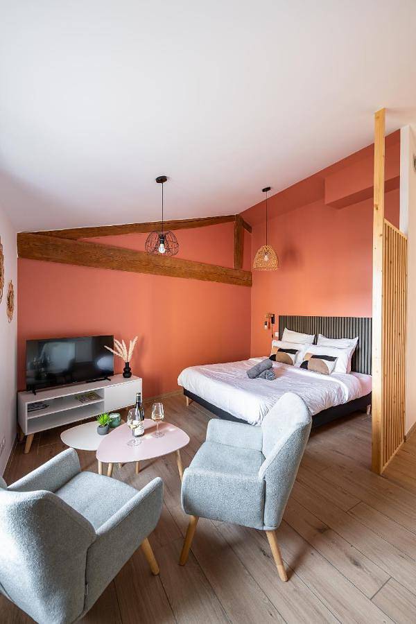 Gîte pour 3 personnes, avec vue à Condrieu - 2