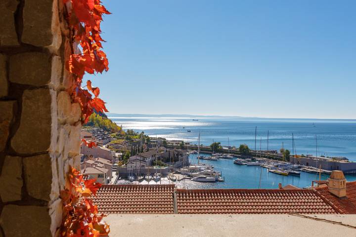 Apartament wakacyjny dla 6 osób, z taras w Prowincja Trieste