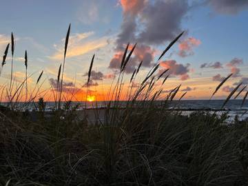 Ferieudlejning til 12 Personer i Hundested, Halsnæs, Billede 4