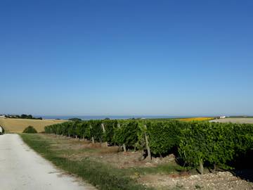 Chambre D’hôte pour 2 Personnes dans Chenac-Saint-Seurin-d'Uzet, Région de Saintes, Photo 3