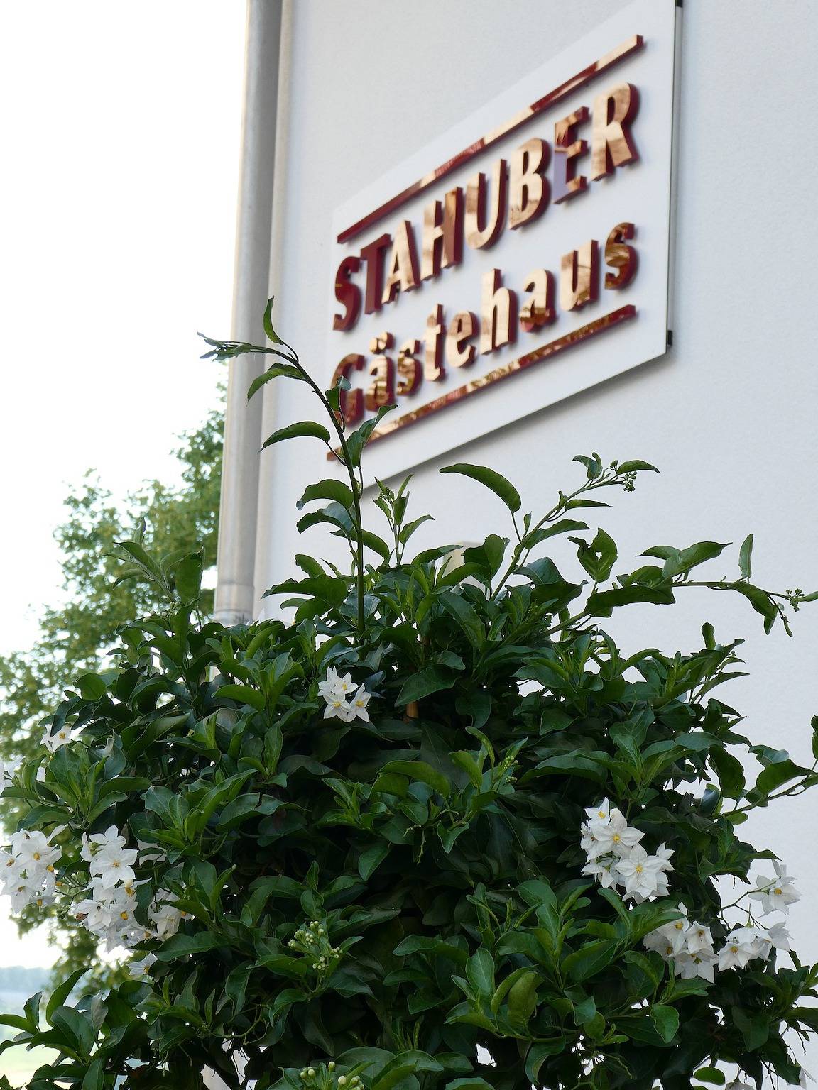 Gästehaus Stahuber - Doppelzimmer mit Ausblick in unser schönes Glonntal in Feldkirchen-Westerham, Landkreis Rosenheim