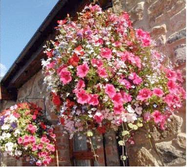 Guesthouse for 1 person in Penally, Pembrokeshire