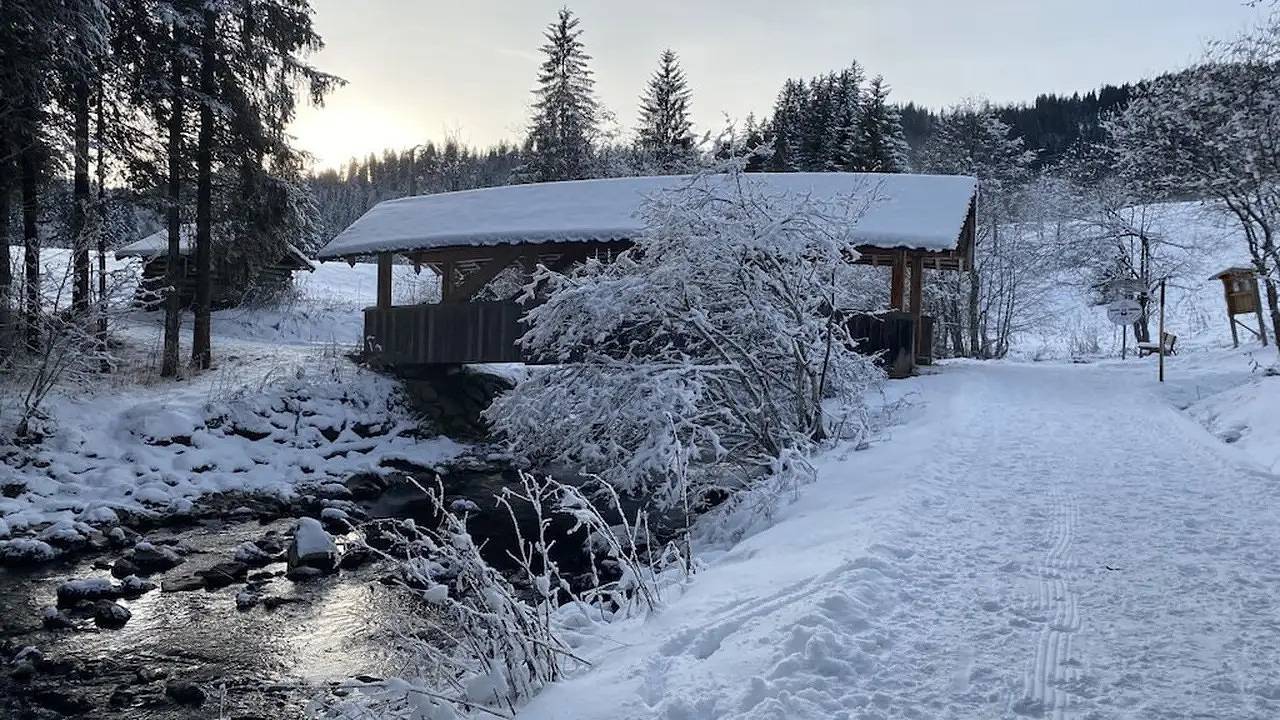 Ferienhaus für 4 Personen (44 m²) in Riezlern in Riezlern, Mittelberg