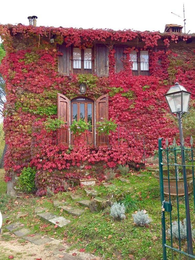 Chambre d’hôte pour 2 personnes, avec Terrasse et Jardin ainsi que Vue et Vue sur le lac à Barberino di Mugello
