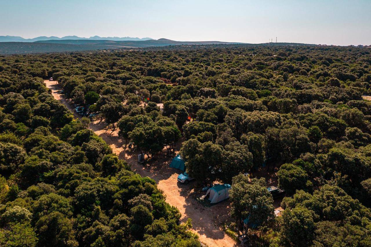 Camping Sugar in Mandre, Pag