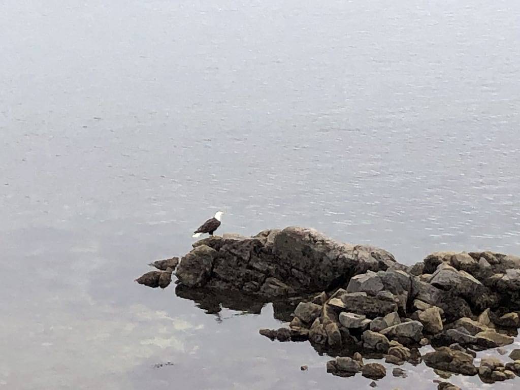Beachfront Studio auf Maple Bay, Schritte entfernt zu Ihrem eigenen privaten Strand Terrasse in North Cowichan, Cowichan Valley Regional District