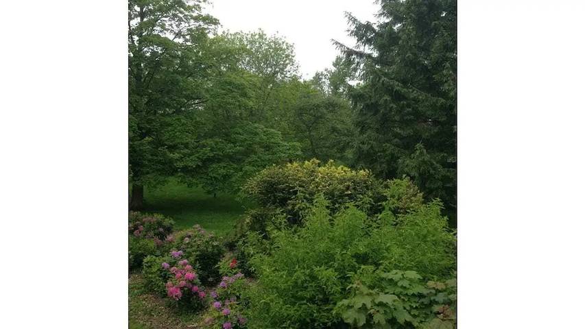 Ferienhaus für 2 Personen, mit Garten in Döse - 3
