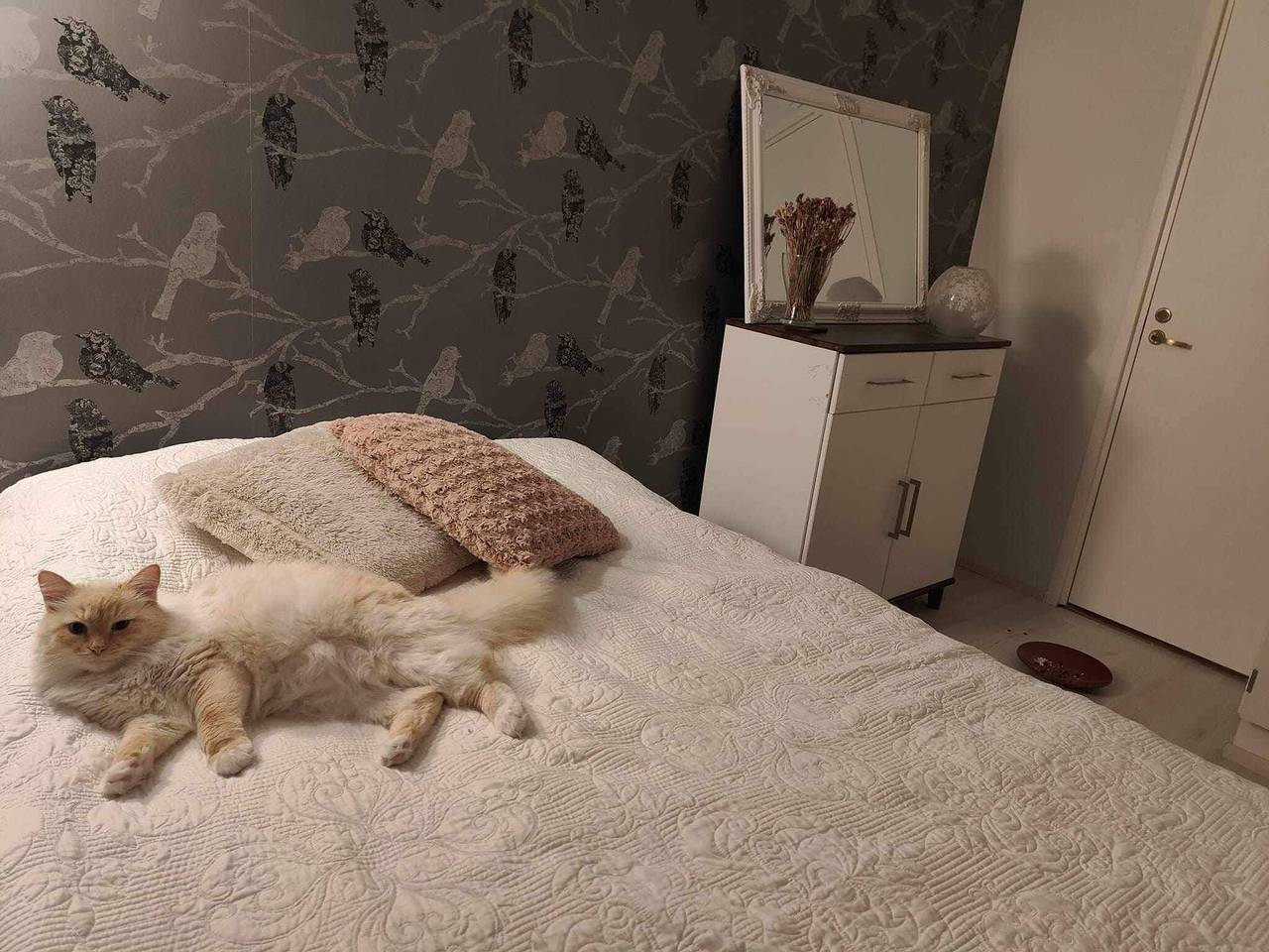 Cozy Forest Retreat in Kuopio - Perfect for Families & Work Trips in Kuopio, Kallavesi