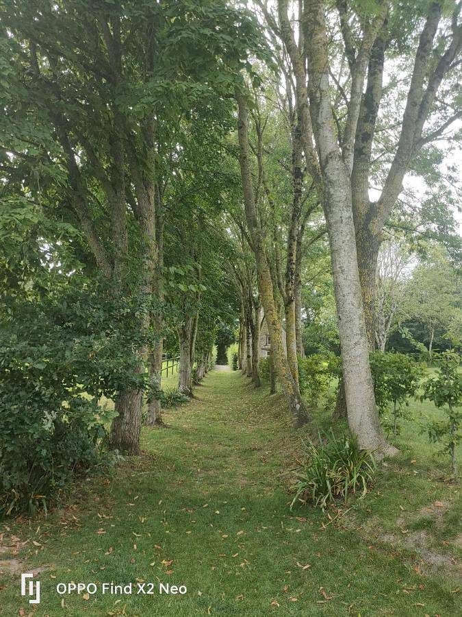 Domaine du Manoir de Vains in Vains, Baie du Mont-Saint-Michel