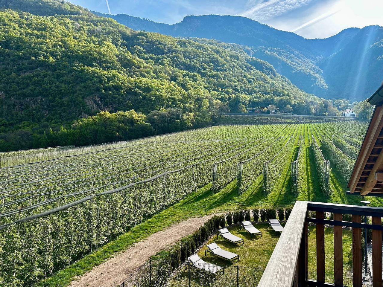 Ganze Wohnung, Ferienwohnung 'Maso Renner 5' mit Bergblick, Wi-Fi und Klimaanlage in Leifers, Fleimstaler Alpen