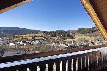 Vakantieappartement voor 3 Personen in Lenzkirch, Hoge Zwarte Woud, Afbeelding 4