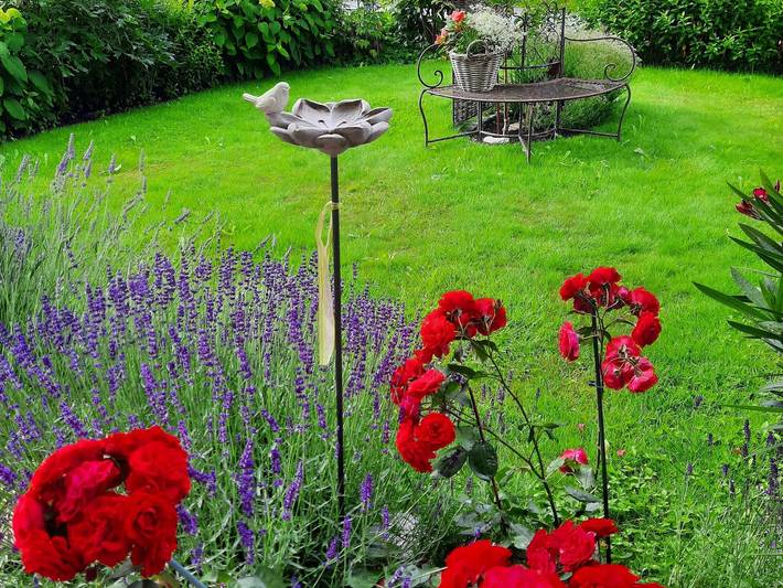 Ferienwohnung für 2 Personen, mit Ausblick und Balkon sowie Garten in Schoppernau - 4