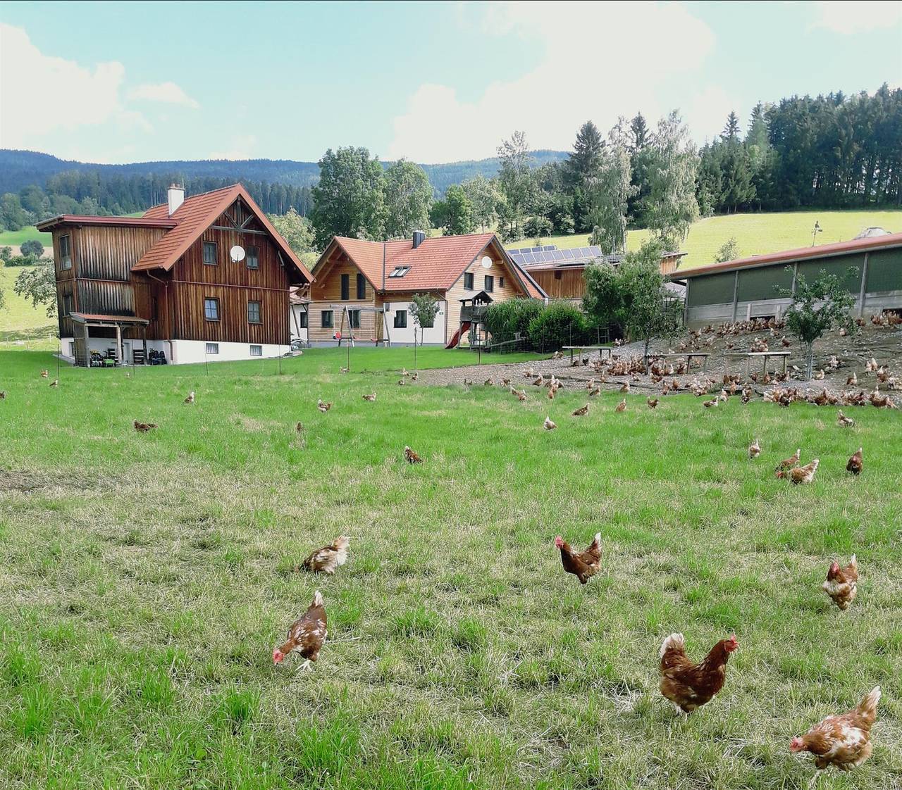 Fewo "Vogelgezwitscher" in Sankt Lorenzen am Wechsel, Steirerland