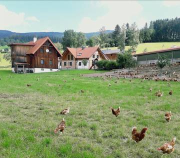 Bauernhof für 4 Personen in Sankt Lorenzen am Wechsel, Steirerland, Bild 1