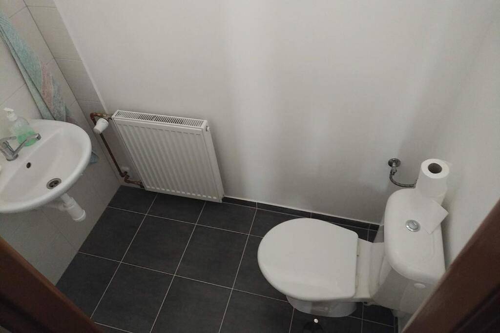 Příjemný řadový rodinný dům se zahradou in Cheb, Karlsbad und Umgebung