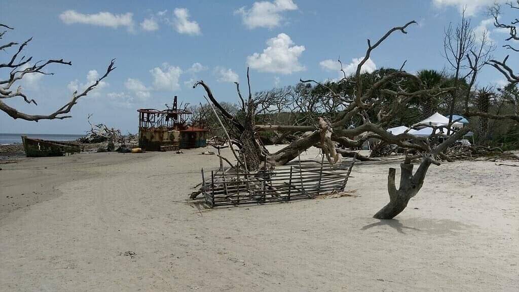 Ganze Wohnung, Driftwood beach adjacent, Poolside, Off season rate, 20% off weekly, in Jekyll Island