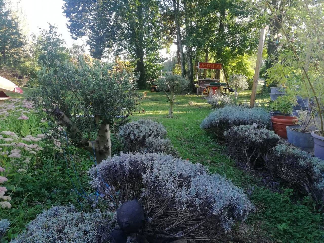 Chambre d'hôtes ouverte sur jardin - Chambre in Chaumont (Yonne), Yonne