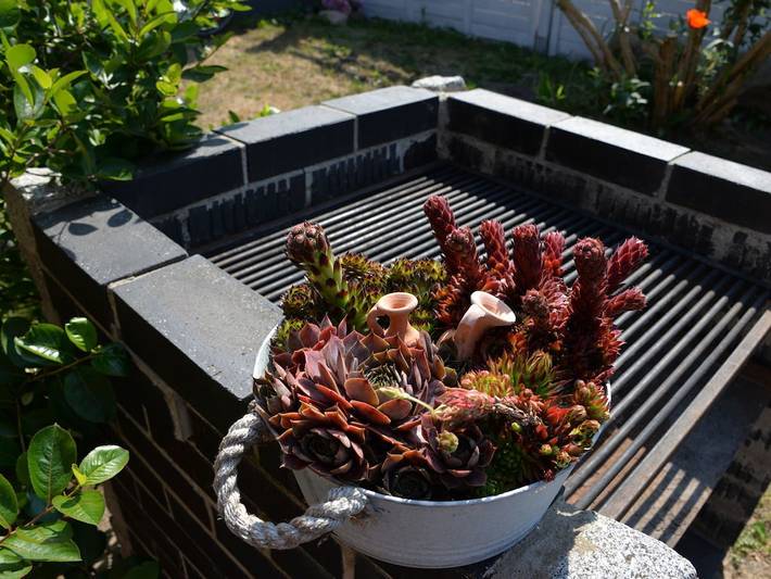 Ferienhaus für 6 Personen, mit Garten in Ückeritz - 4