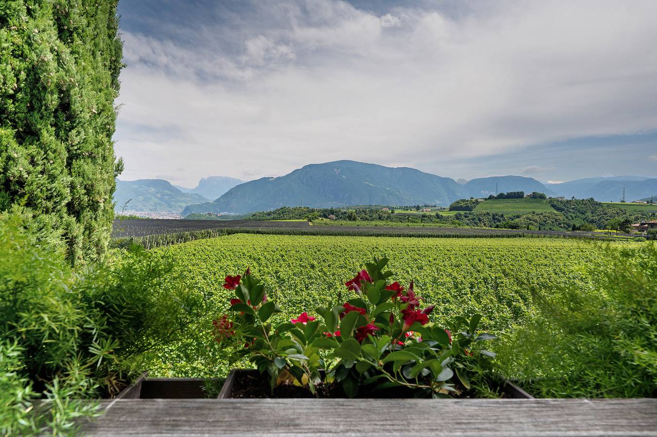 Appartamento intero, Appartamento 'Pink Lady' con vista sulle montagne, terrazza condivisa e Wi-Fi in San Paolo, Appiano