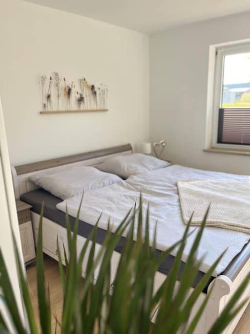 Ganze Wohnung, Two-Bedroom Apartment in Süderbrarup, Schleswig-Flensburg
