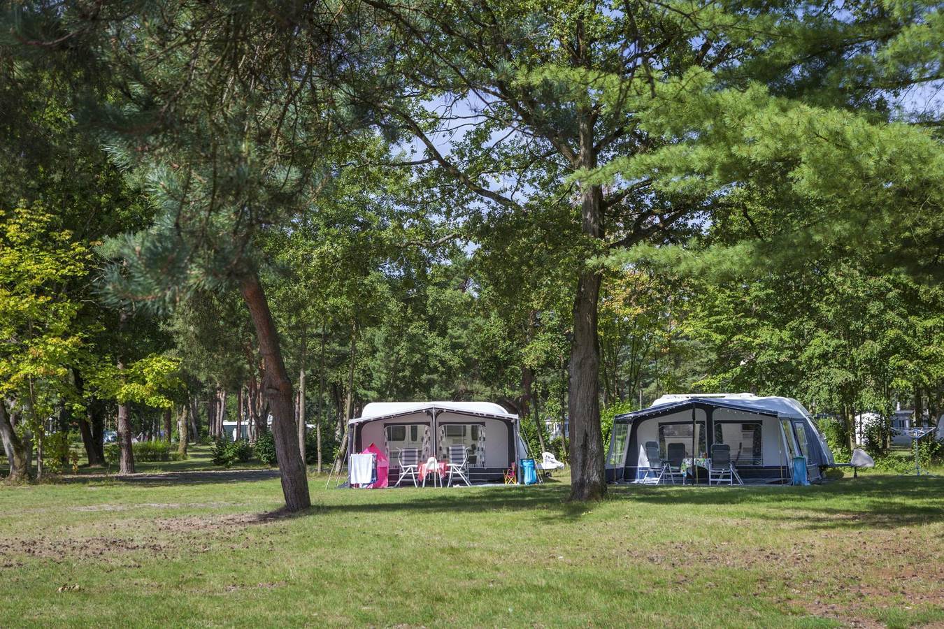 Europarcs De Wije Werelt — Kampeerplaats Comfort Xl in Hoge Veluwe