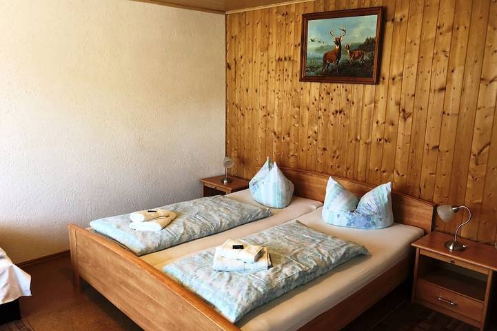 Ferienhaus für 4 Personen, mit Balkon, mit Haustier in Tanne - 2