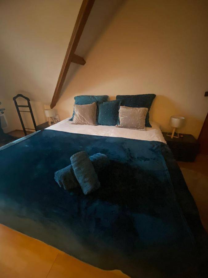 Gîte pour 4 personnes, avec jardin à Brie-Comte-Robert - 4