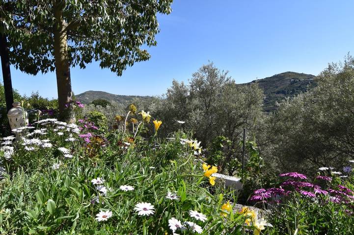 Finca für 4 Personen, mit Garten und Terrasse in Cómpeta - 3
