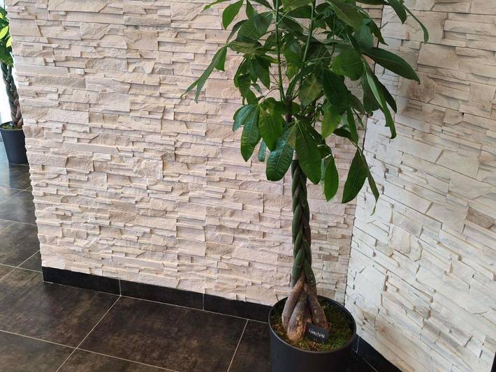 Hôtel pour 2 personnes, avec terrasse, animaux acceptés dans Gare De Rennes - 3