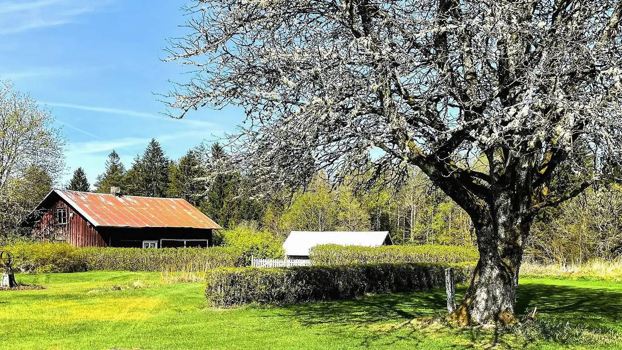 Ferienhaus für 3 Personen (120 m²) in Ljung in Grude distrikt, Herrljunga