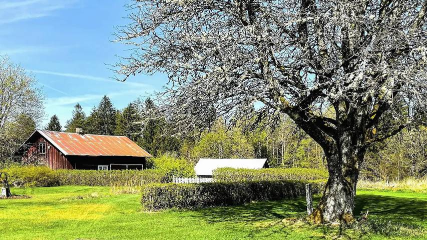 Ferienhaus für 4 Personen, mit Garten in Herrljunga - 4
