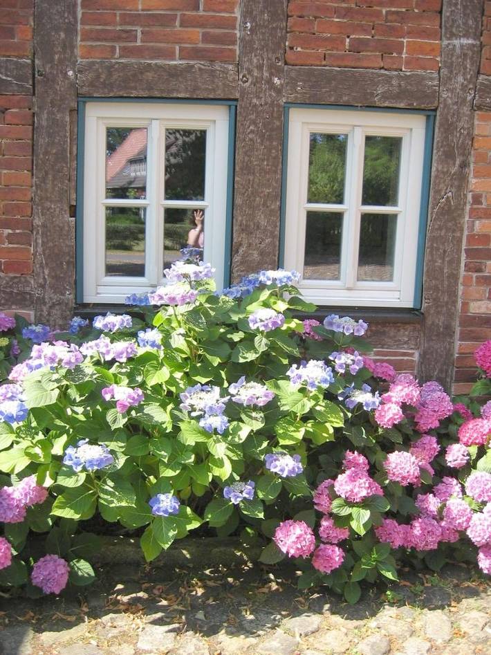 Ferienwohnung für 6 Personen, mit Balkon und Terrasse sowie Garten und Sauna in Landkreis Verden - 2