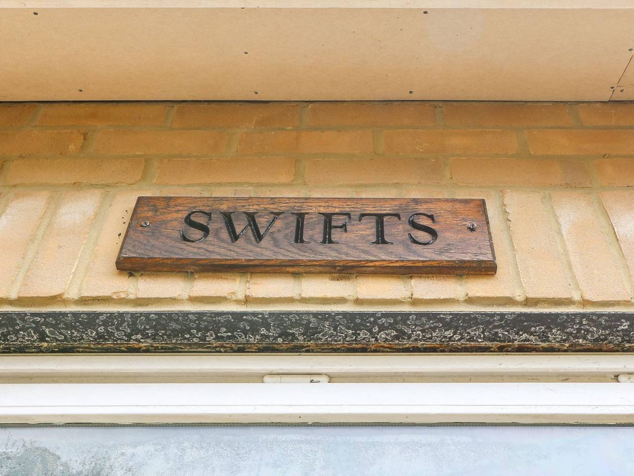 Swifts in Ventnor, Isle of Wight